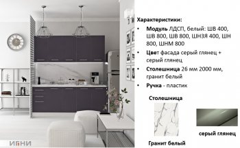 Кухонный гарнитур 2000 мм Агата (Игни) в Ревде - revda.mebel-e96.ru