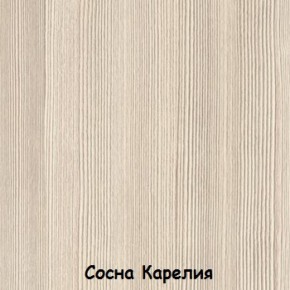 Набор детской мебели Вега Серия 2 (модульная) (СВ) в Ревде - revda.mebel-e96.ru