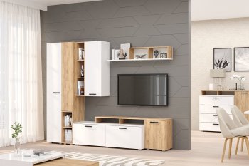 Стенка Эльза комп.2 (Зарон) в Ревде - revda.mebel-e96.ru