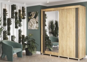 Шкаф-купе 2000 мм Форест крафт золотой(Стиль) в Ревде - revda.mebel-e96.ru