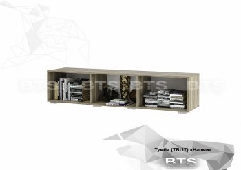 Стенка Наоми (БТС) в Ревде - revda.mebel-e96.ru