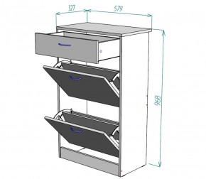 Обувница W21 (ДВ) в Ревде - revda.mebel-e96.ru