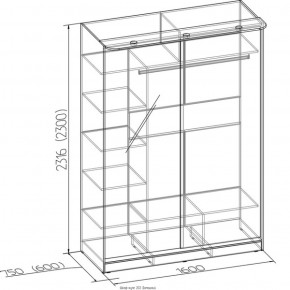 Шкаф-купе Домашний 1600 ясень темный бодега светлый в Ревде - revda.mebel-e96.ru