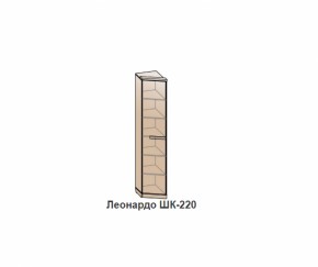 Шкаф ЛЕОНАРДО (ШК-220) Бодега белая в Ревде - revda.mebel-e96.ru | фото