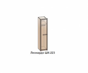 Шкаф ЛЕОНАРДО (ШК-223) Бодега белая в Ревде - revda.mebel-e96.ru | фото