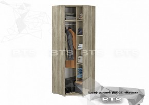 Шкаф угловой ШК-21 Наоми (БТС) в Ревде - revda.mebel-e96.ru