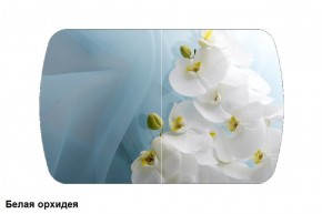 Стол Бостон 2 (1100*700) опоры Брифинг (Стекло/фотопечать Белая орхидея) в Ревде - revda.mebel-e96.ru | фото