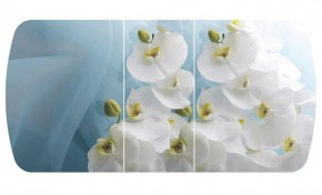 Стол Бостон-3 (Белая Орхидея) 1100/1420*700, опора Брифинг в Ревде - revda.mebel-e96.ru