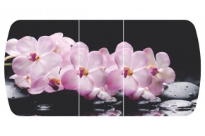 Стол Бостон-3 (Розовая Орхидея) 1100/1420*700, опора Брифинг в Ревде - revda.mebel-e96.ru