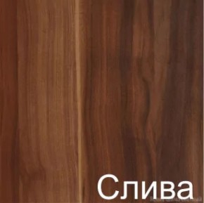 Стол раскладной с ящиком (6-02.120) Слива (ГК) в Ревде - revda.mebel-e96.ru